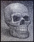 "Skull Study II" Enamel on canvas, 2019, 24x30 inches